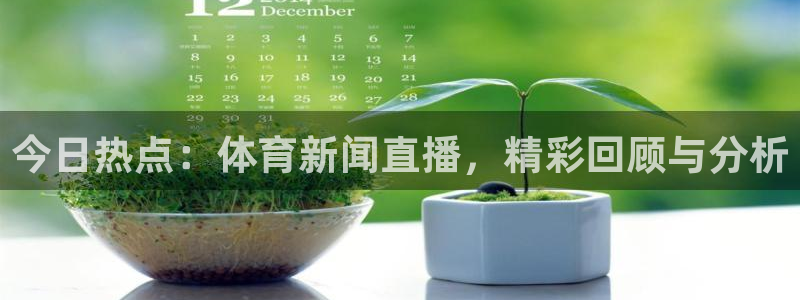 飞球直播的下载网址是什么